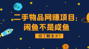 二手物品网赚项目,闲鱼不是咸鱼!你了解多少?-56课堂