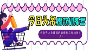 今日头条爆款训练营:头条号上卖爆货的高级软文长啥样?(1)-56课堂