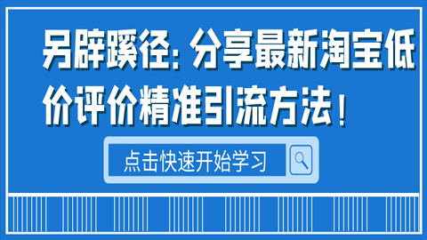 另辟蹊径：分享最新淘宝低价评价精准引流方法！-56课堂