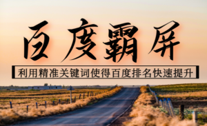 老船长百度霸屏引流课:利用精准关键词使得百度排名快速提升-56课堂