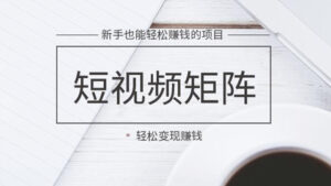 短视频矩阵玩法多重变现，新手也能轻松赚钱的项目（附送软件）-56课堂