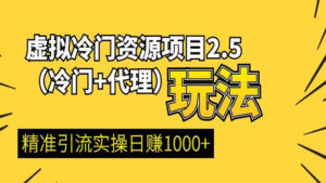 虚拟冷门资源项目2.5（冷门+代理玩法） 精准引流实操日赚1000+【完结】-56课堂
