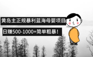 黄岛主正规暴利蓝海母婴项目,日赚500-1000+简单粗暴!-56课堂