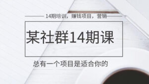 某网赚社群十四期微信营销培训课程,总有一个项目适合你的-56课堂