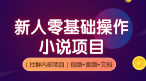 新人零基础零风险操作小说项目，轻松月入过万，社群内部项目（视频+录音+文档）-56课堂