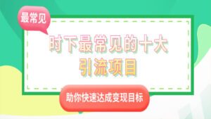 时下最常见的十大引流项目：助你快速达成变现目标（1-4）-56课堂