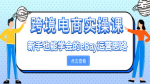 跨境电商实操课:新手也能学会的eBay运营思路(1-5)-56课堂
