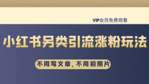 雨果:不用写文章,不用拍照片,小红书另类引流涨粉玩法-56课堂