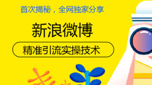 首次揭秘,全网独家分享,微博精准吸粉实操技术!-56课堂