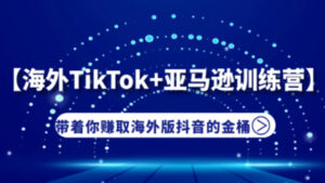 【海外抖音TikTok+亚马逊实战训练营】带着你赚取海外版抖音的金桶-56课堂