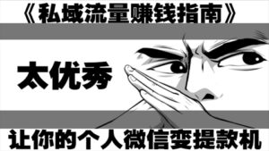 私域流量赚钱指南，让你的个人微信变成提款机（15堂课）-56课堂