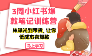 3周小红书爆款笔记训练营：从曝光到带货，让你低成本卖爆款（价值669）-56课堂