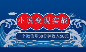 某vip项目《小说变现实战班》,一个微信号30分钟收入50元-56课堂