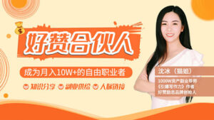好赞合伙人：独门技术，教你成为月入10W+的自由职业者（9套无水印视频课）-56课堂