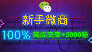 宝妈微商特训:新手做微商,快速加人100%高成交率+5000粉-56课堂