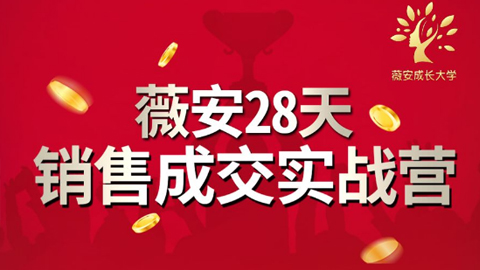 薇安28天销售成交实战营，5分钟成交3万，实现了月入近6位数的营收-56课堂