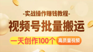 视频号批量运营实战操作赚钱教程,让你一天创作100个高质量视频(15节视频课)-56课堂