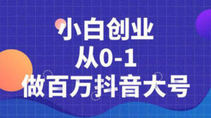 蛋解创业,小白创业从0-1做百万抖音短视频大号(全套实战课)-56课堂