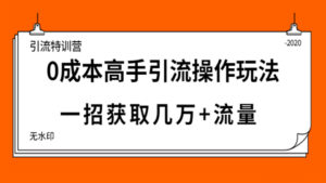 引流特训营：0成本高手引流操作玩法，一招获取几万+流量（5节视频课）-56课堂