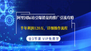 阿里国际站引爆销量的推广引流攻略,半年利润120万,详细操作流程(全3节课)-56课堂