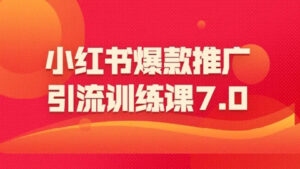 小红书爆款推广引流训练课7.0:一部手机即可操作玩转小红书引流赚钱(21节)-56课堂