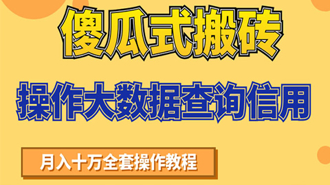 傻瓜式搬砖操作大数据查询信用赚钱方法：助你快速月入6万全套操作教程-56课堂