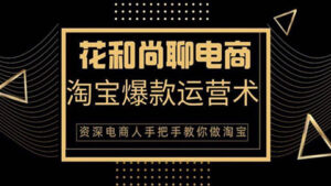 花和尚聊电商-天猫淘宝爆款运营实操技术系列课:资深电商人手把手教你做淘宝-56课堂