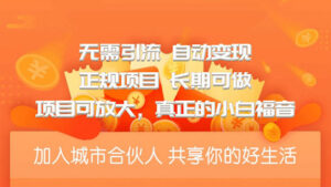 城市合伙人自动赚收益项目，无需引流，自动变现，项目可放大，真正的小白福音-56课堂