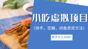 小吃技术虚拟项目，新手日入1000+（快手，豆瓣，闲鱼卖货方法）-56课堂