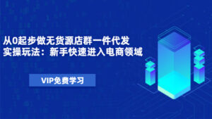 从0起步做无货源店群一件代发实操玩法：新手快速进入电商领域（40节视频）-56课堂