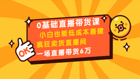 0基础直播带货课：小白也能低成本搭建疯狂卖货直播间：1场直播带货6万（8堂课）-56课堂