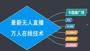 最新无人直播万人在线技术:养号+真人+无人直播步骤+方式+变现-56课堂