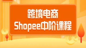 2020跨境电商蓝海新机会-shopee中阶课程:爆款的快速打造全流程(27节课)-56课堂