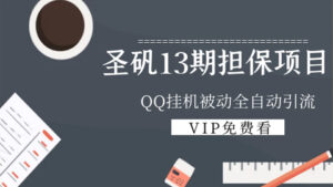 圣矾13期付费担保项目，QQ挂机被动全自动引流-56课堂