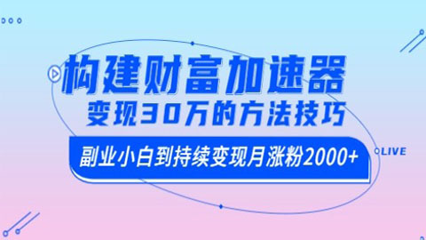 构建财富加速器，副业小白到持续变现月涨粉2000+，变现30万的方法技巧-56课堂