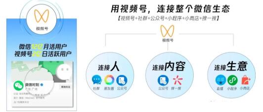 图片[2]-从0到1带你玩赚视频号：这么玩才赚钱，日引流500+日收入1000+核心玩法-56课堂