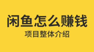 龟课·闲鱼无货源电商课程第19期:操作好一天出几单,赚个几百块钱-56课堂
