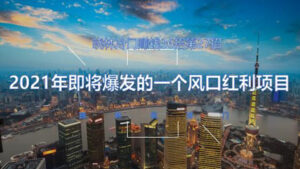 晓林冷门赚钱36招第27招:2021年即将爆发的一个风口红利项目-56课堂