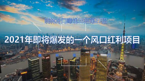 晓林冷门赚钱36招第27招：2021年即将爆发的一个风口红利项目-56课堂