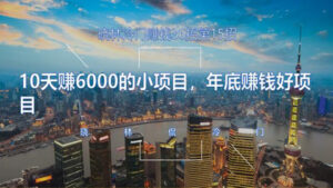 晓林冷门赚钱36招第15招10天赚6000的小项目，年底赚钱好项目【视频课程】-56课堂