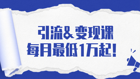 引流&变现课：分享一整套流量方法以及各个渠道收入，每月最低1万起！-56课堂