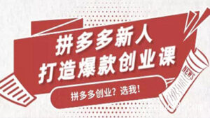 拼多多新人打造爆款创业课:快速引流持续出单,适用于所有新人-56课堂