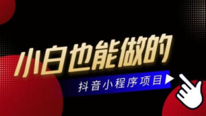 东哲零基础小白也能轻松上手的抖音小程序项目，当天做当天就能赚钱-56课堂