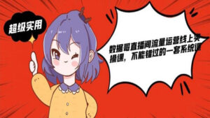 数据哥直播间流量运营线上实操课,不能错过的一套系统课-56课堂