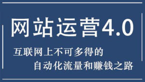 暴疯团队网站赚钱项目4.0：网站运营与盈利，实现流量与盈利自动化的赚钱之路-56课堂