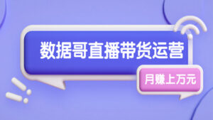 数据哥直播带货运营线上进阶课,让普通人也能靠直播月赚上万元-56课堂