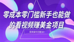 零成本零门槛新手也能做的看视频赚美金项目,轻松月赚5W+【视频教程】-56课堂