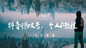 抖音惊叹号:收费12800的打造个人ip视频课程(无水印)-56课堂