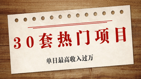 30套热门项目：网赚项目、朋友圈、涨粉套路、抖音、快手，单日最高收入过万-56课堂