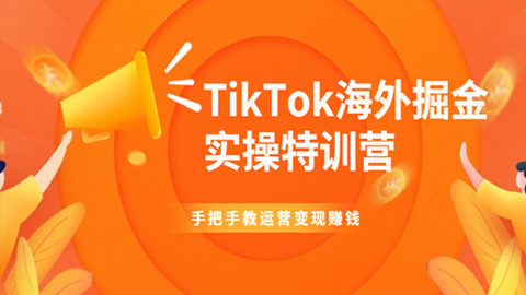 TikTok海外掘金实操特训营：手把手教运营变现赚钱【视频课程】-56课堂